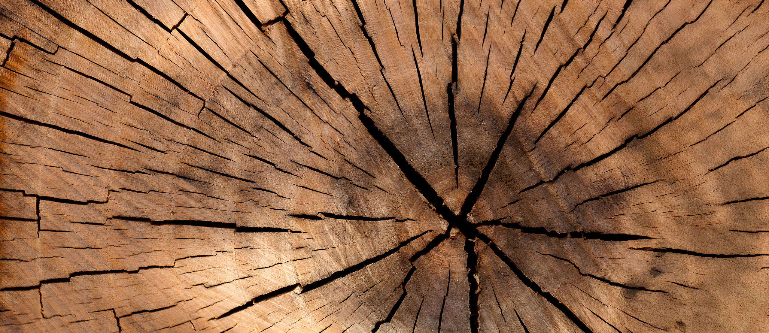 Roreger Stellenangebote Jobs Karriere